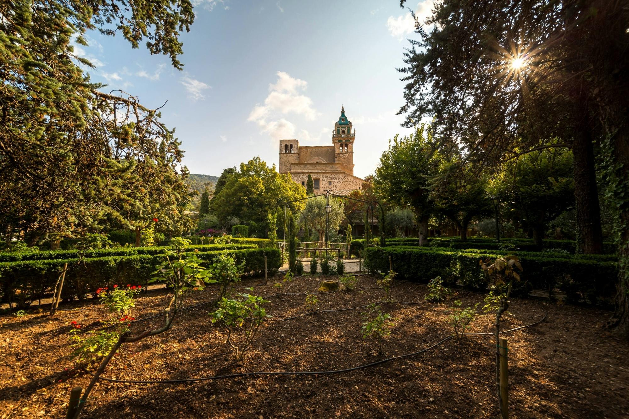 Majorca’s Valldemossa and Sa Foradada tour with tastings in Czech