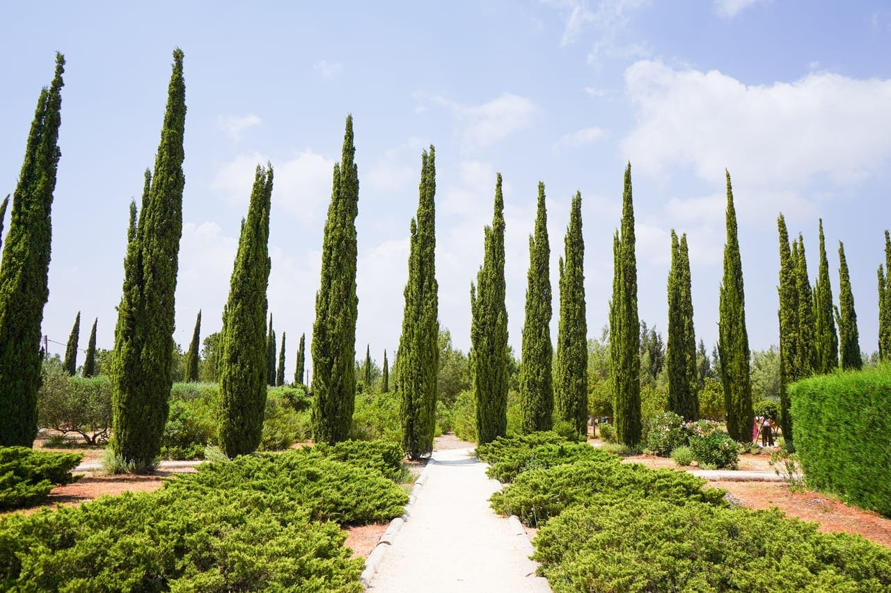 Botanical park visit with soap-making class from Ayia Napa & Protaras