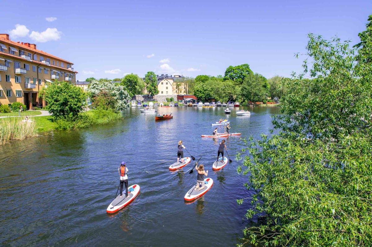 Zelf begeleide stand-up paddleboardtour op het eiland Långholmen in Stockholm