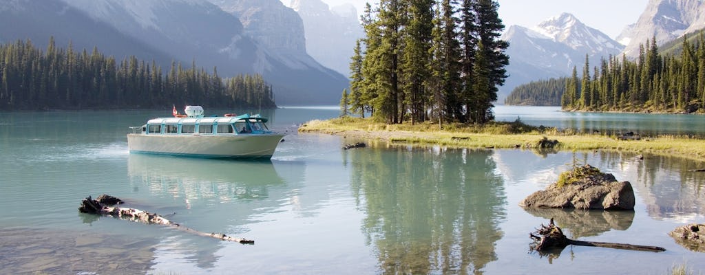 Maligne Valley wildlife and waterfalls tour with cruise