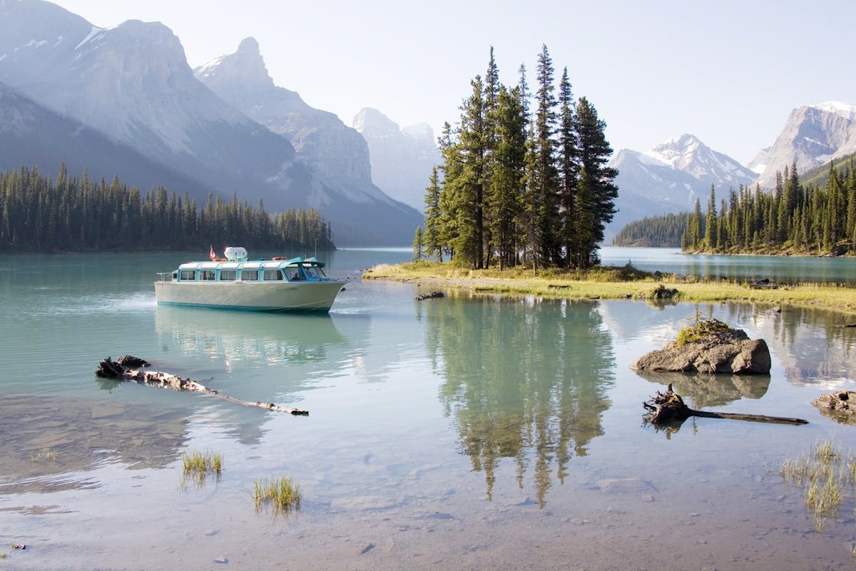 Maligne Valley wildlife- en watervallentour met cruise