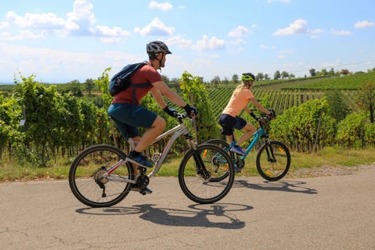 E-bike adventure to Fiesole from Florence with olive oil tasting