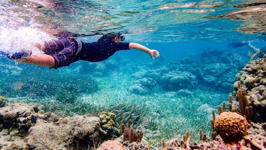 Seawalker in Santa Marta
