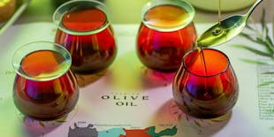 Extra virgin olive oil guided tasting at a winery