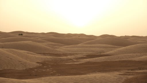 2025042168067e2370c93.jpg