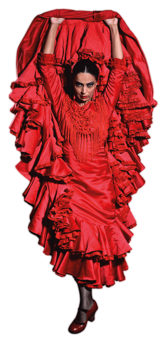 Teatro Flamenco Sevilla entrance tickets