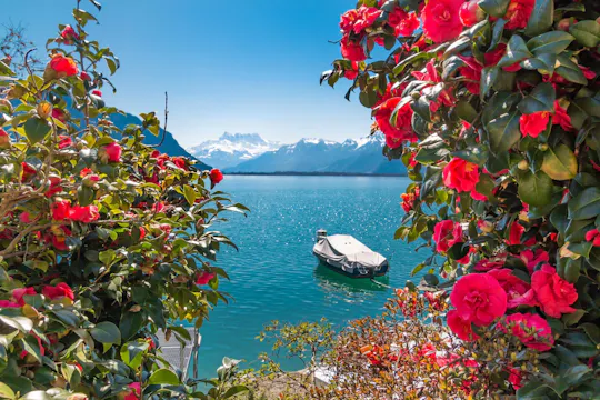 Recorrido a pie de 1 hora por Montreux con un guía local