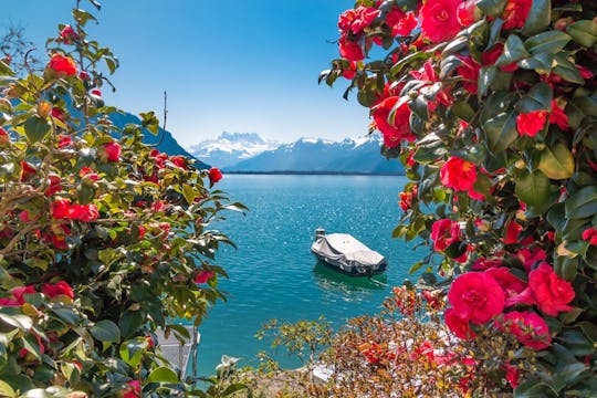 1-hour walking tour of Montreux with a local