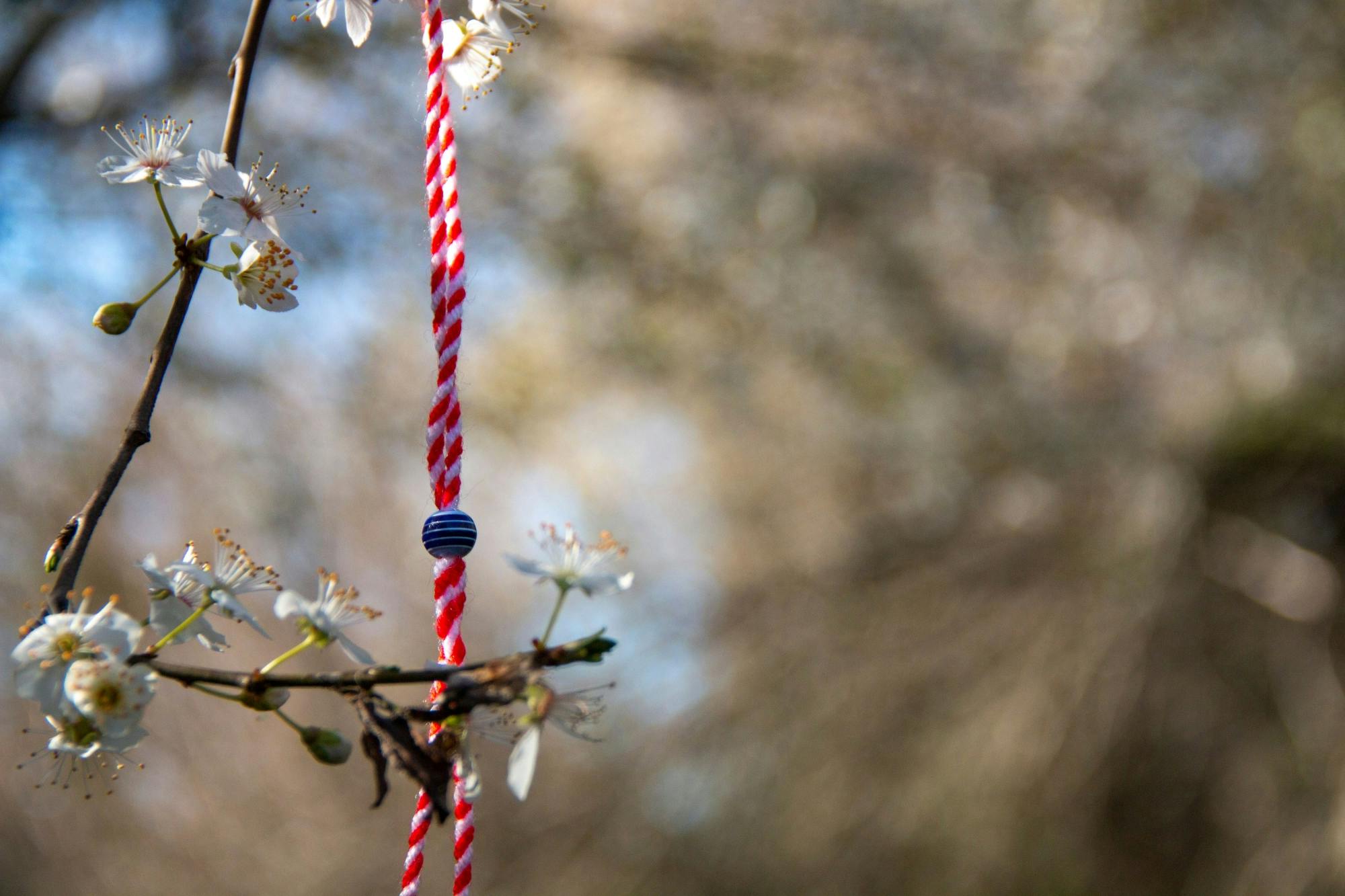 Bulgarian village half-day tour with honey and brandy tasting