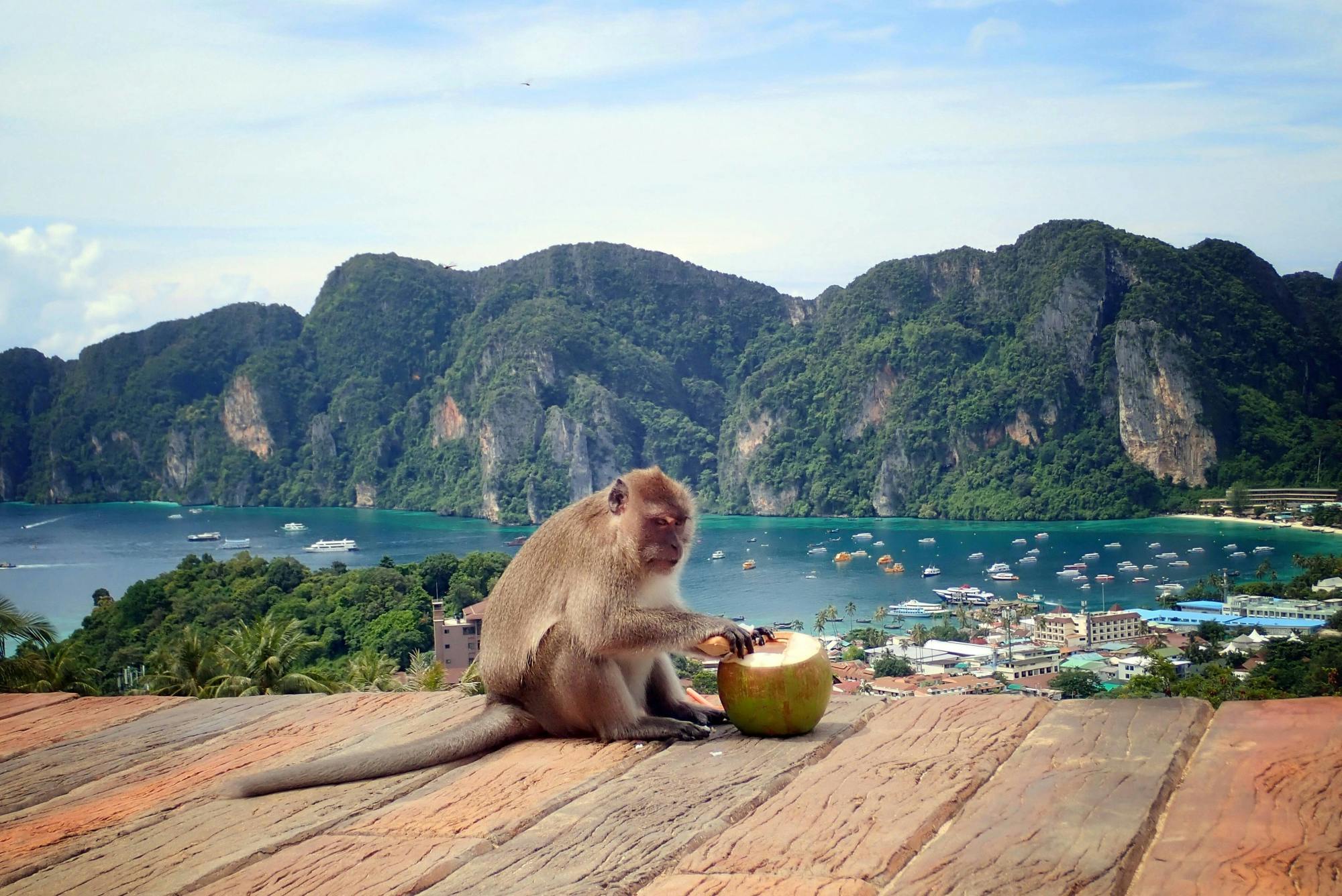 Full-day Phi Phi Islands Speedboat Tour with Pileh Lagoon