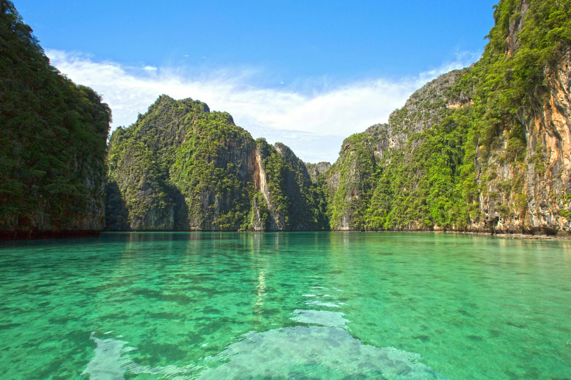 Full-day Phi Phi Islands Speedboat Tour with Pileh Lagoon