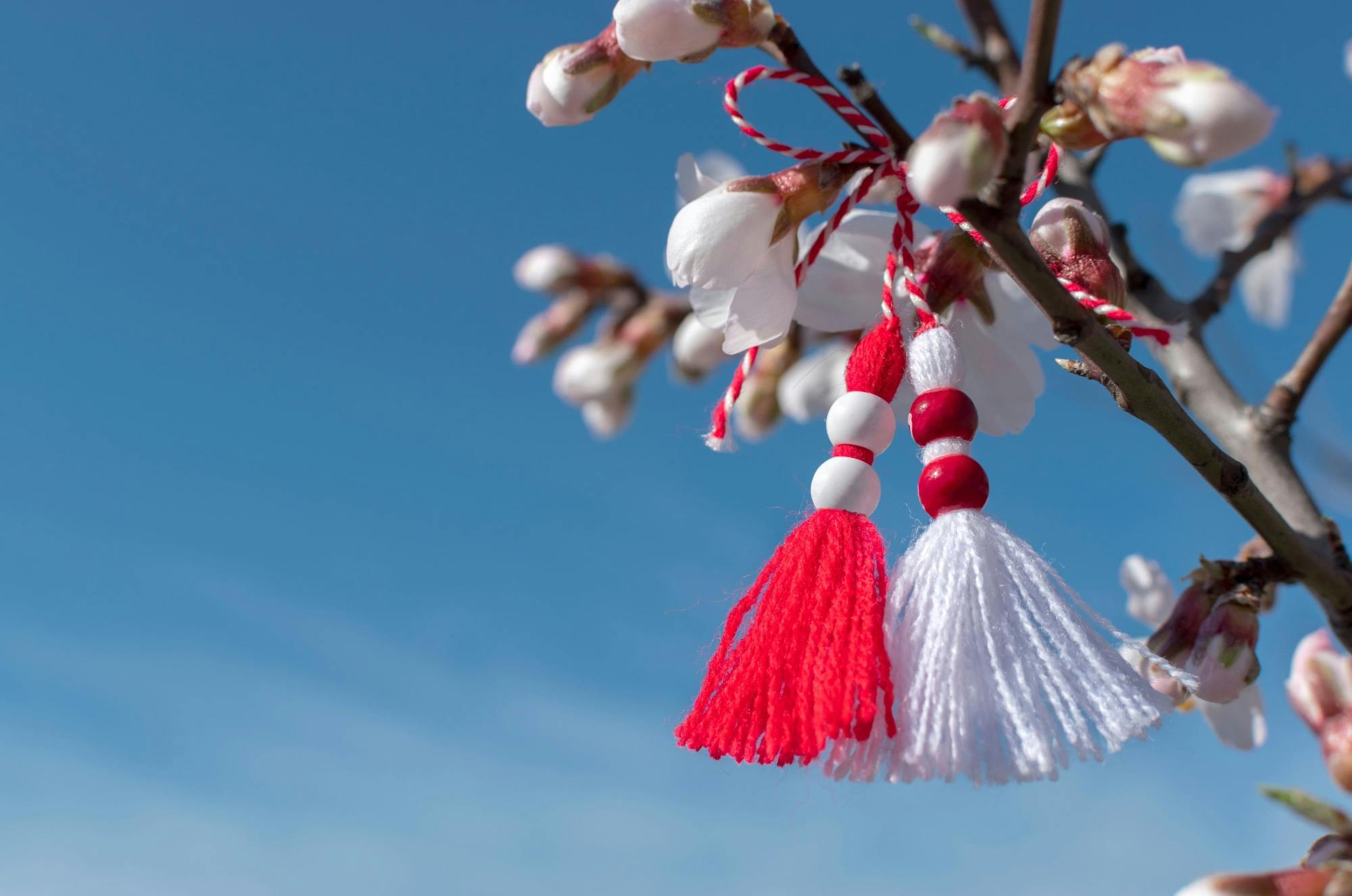 Bulgarian village half-day tour with honey and brandy tasting