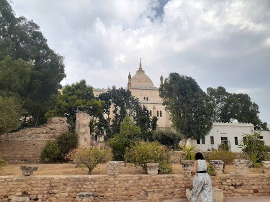 Tour dell'antica Cartagine e di Sidi Bou Said con pranzo