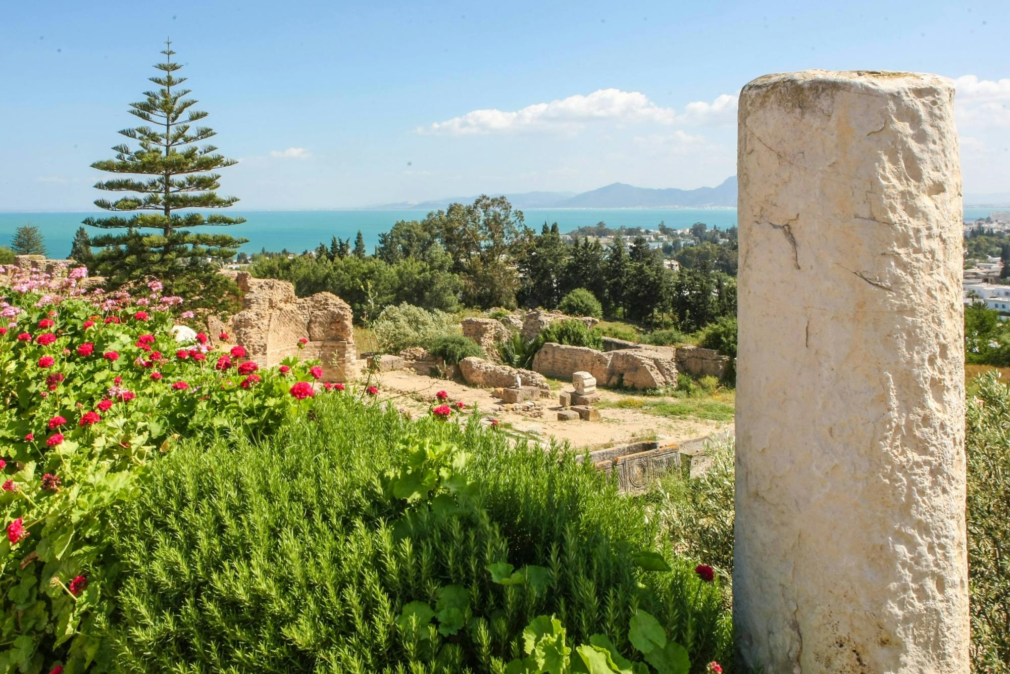 Ancient Carthage and Sidi Bou Said tour with lunch