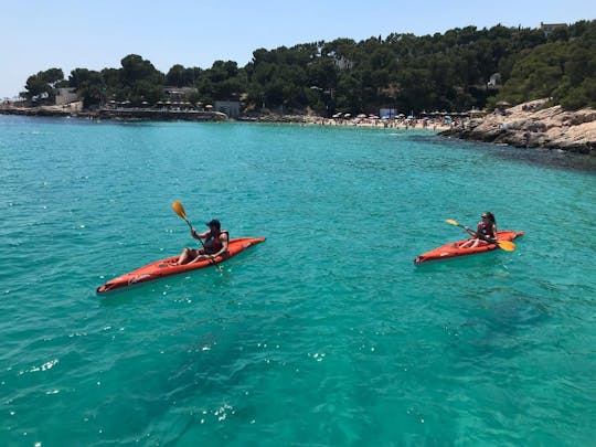 Excursion guidée en kayak à Port Calanova