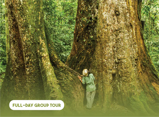 Discover Cuc Phuong National Park full-day tour from Ha Noi