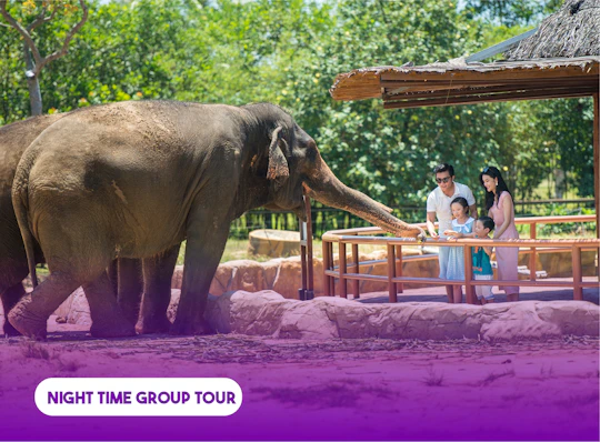 River Safari experience with romantic candlelit dinner by the beach