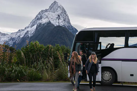 Milford Sound coach tour and day cruise experience