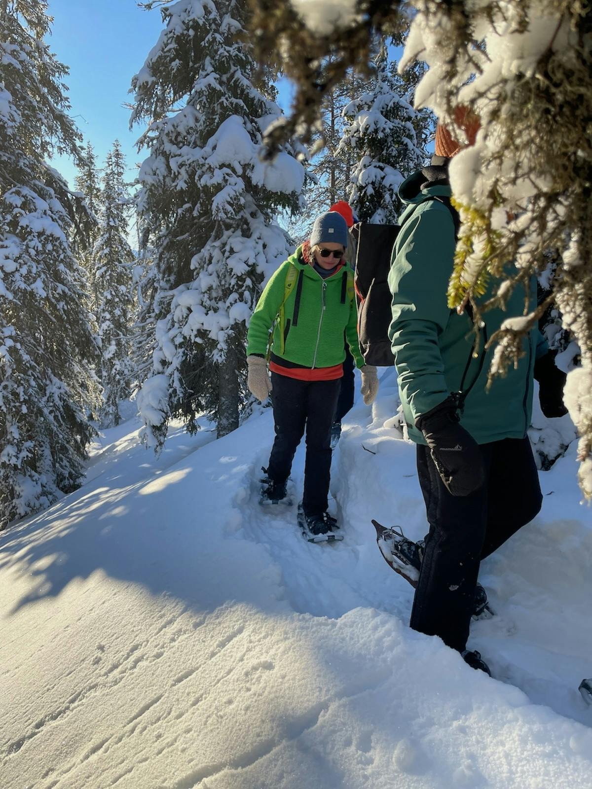 Zachte sneeuwschoenwandeling in het besneeuwde landschap met lokale gids