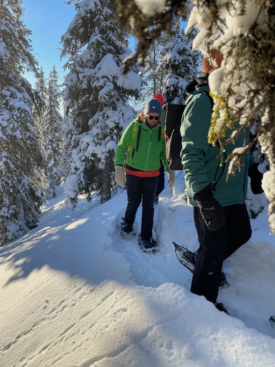 Soft snowshoe hike in the snowy landscape with local guide