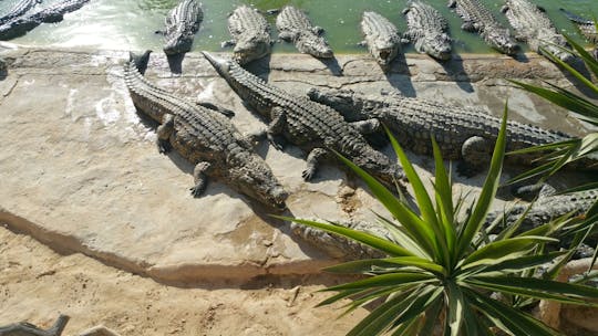 Djerba Explore Park tickets with hotel pick-up