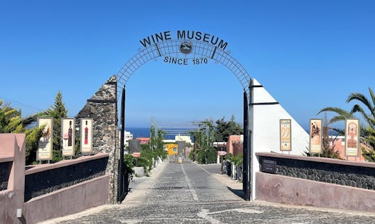 Półdniowa rodzinna wycieczka na Santorini z wizytą w muzeum wina