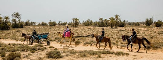 Camel, horse and carriage tour of Djerba's countryside