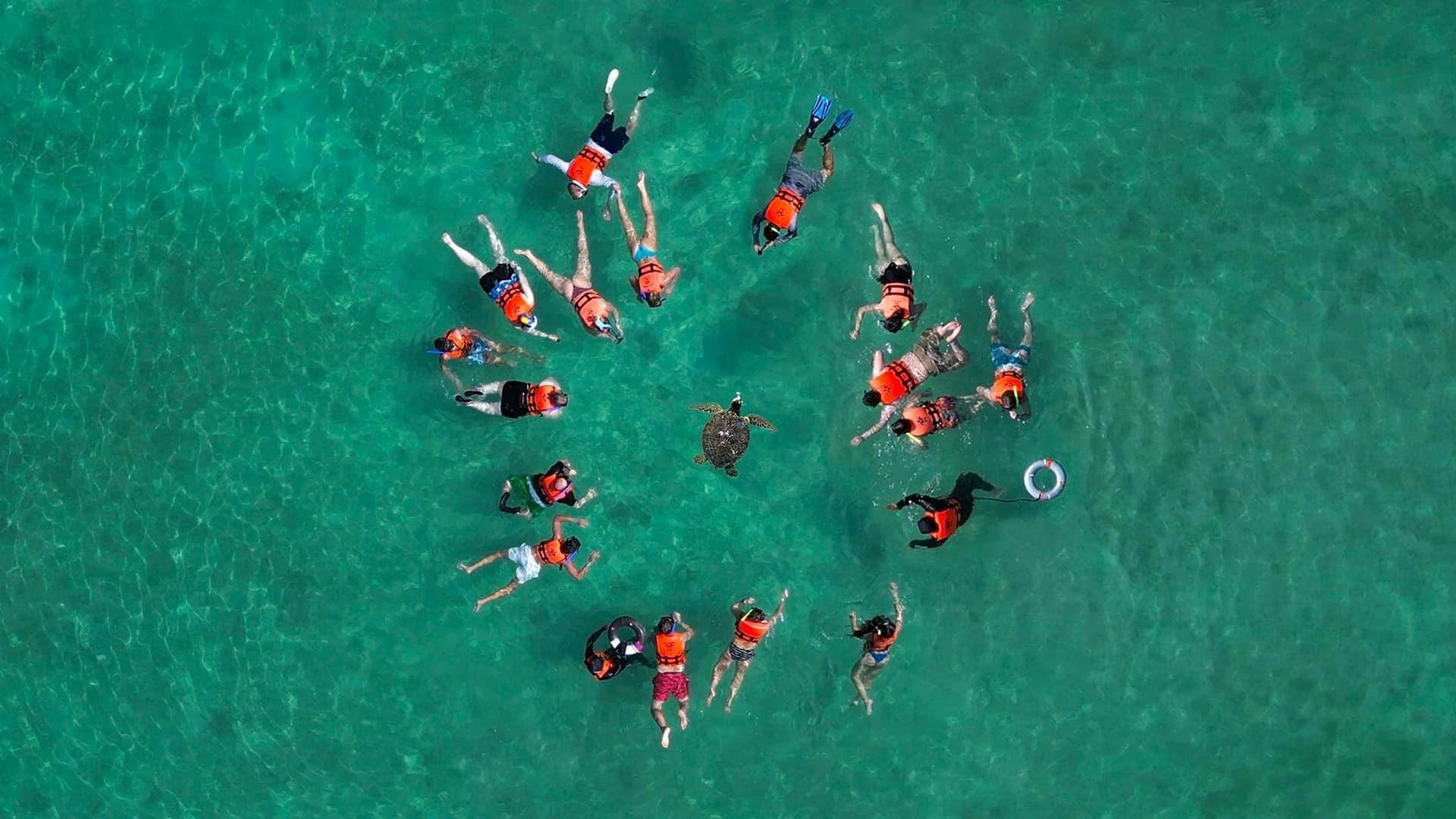 Akumal Monkey Sanctuary with ATV tour and snorkelling