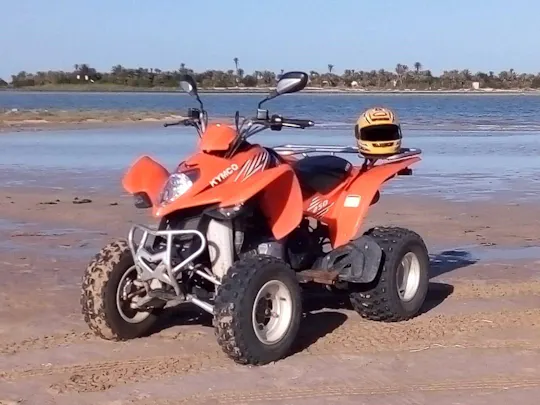 Djerba quad bike safari ticket