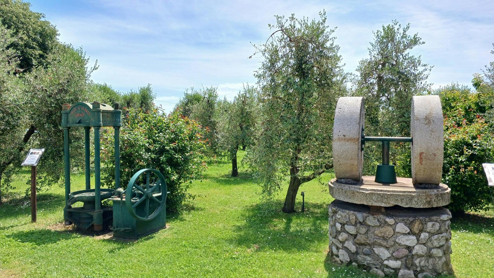 Lake Garda olive oil mill and winery tour with Salo visit