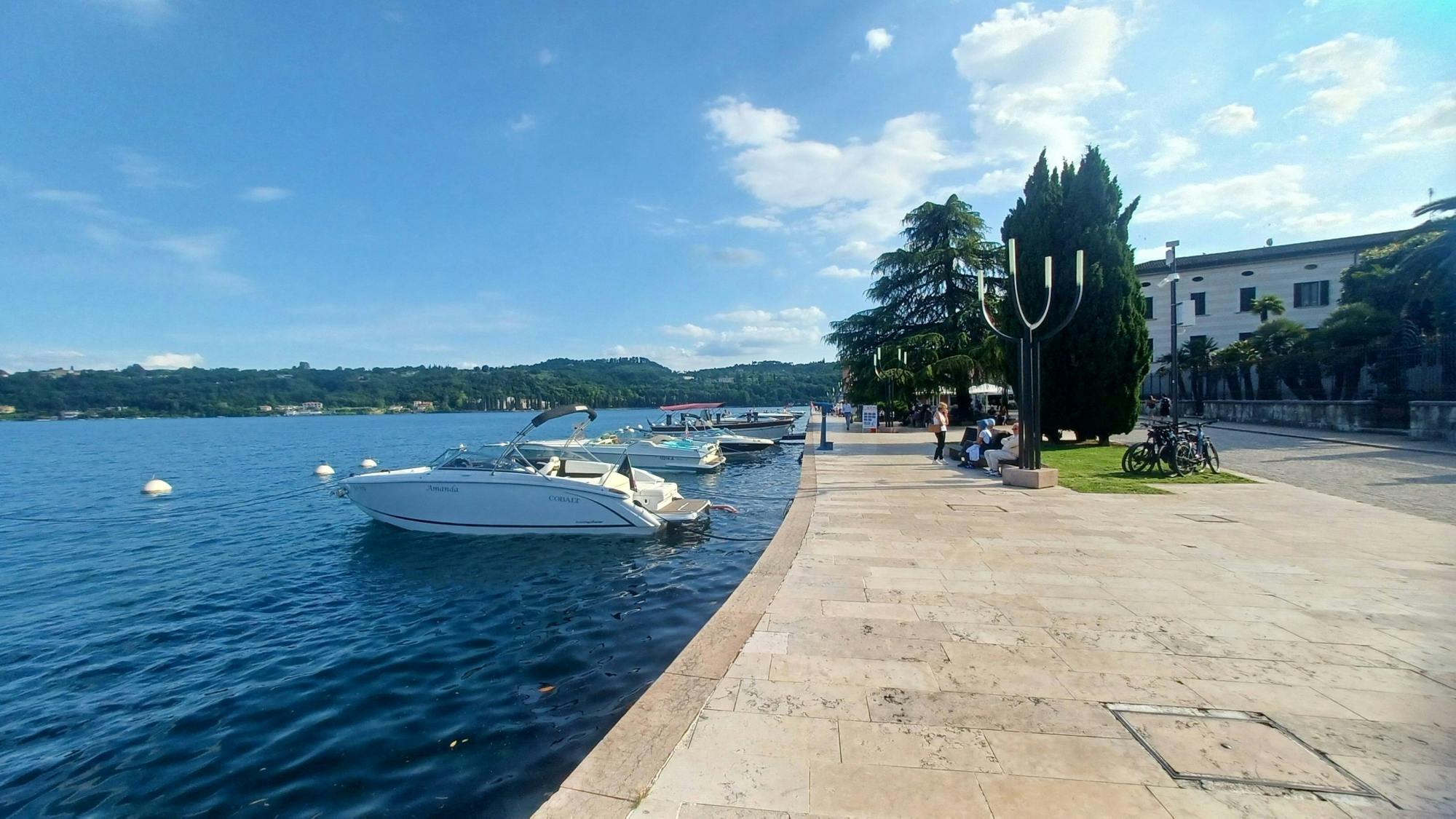 Lake Garda olive oil mill and winery tour with Salo visit