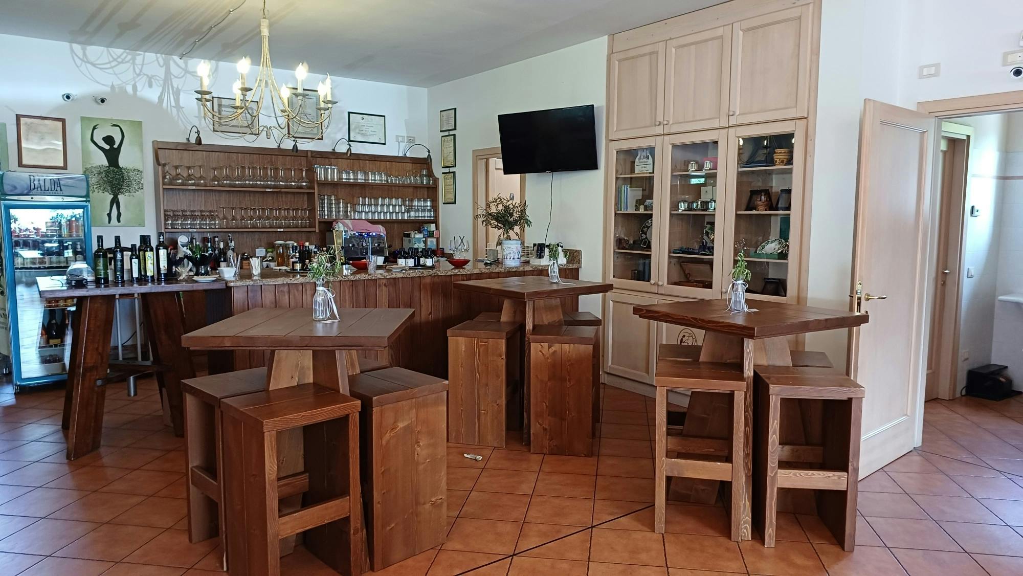 Lake Garda olive oil mill and winery tour with Salo visit