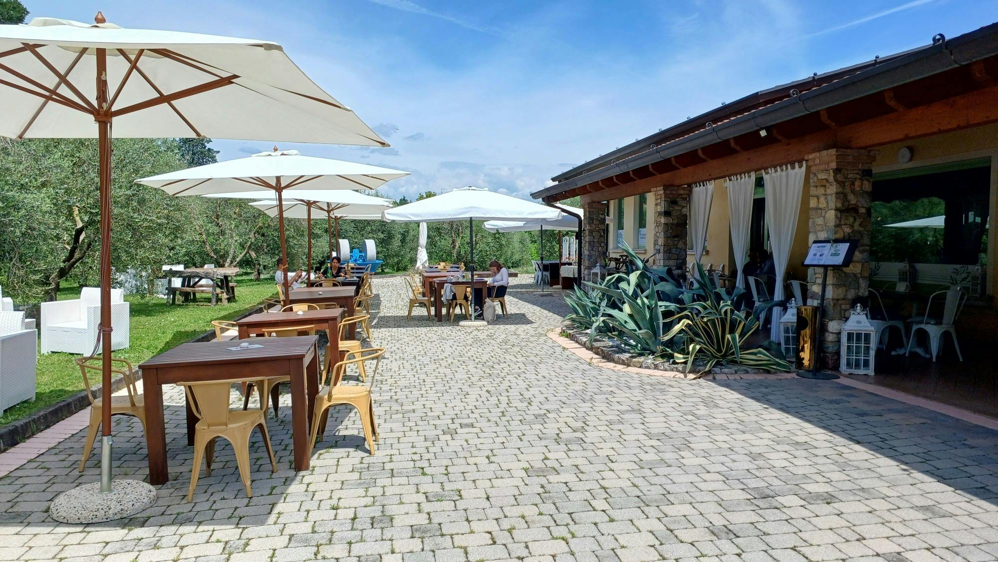 Lake Garda olive oil mill and winery tour with Salo visit