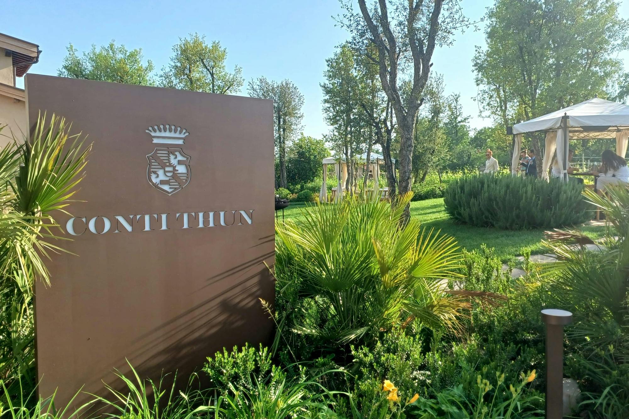 Lake Garda olive oil mill and winery tour with Salo visit