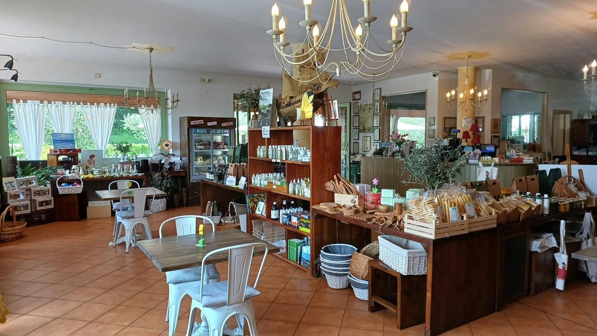 Lake Garda olive oil mill and winery tour with Salo visit