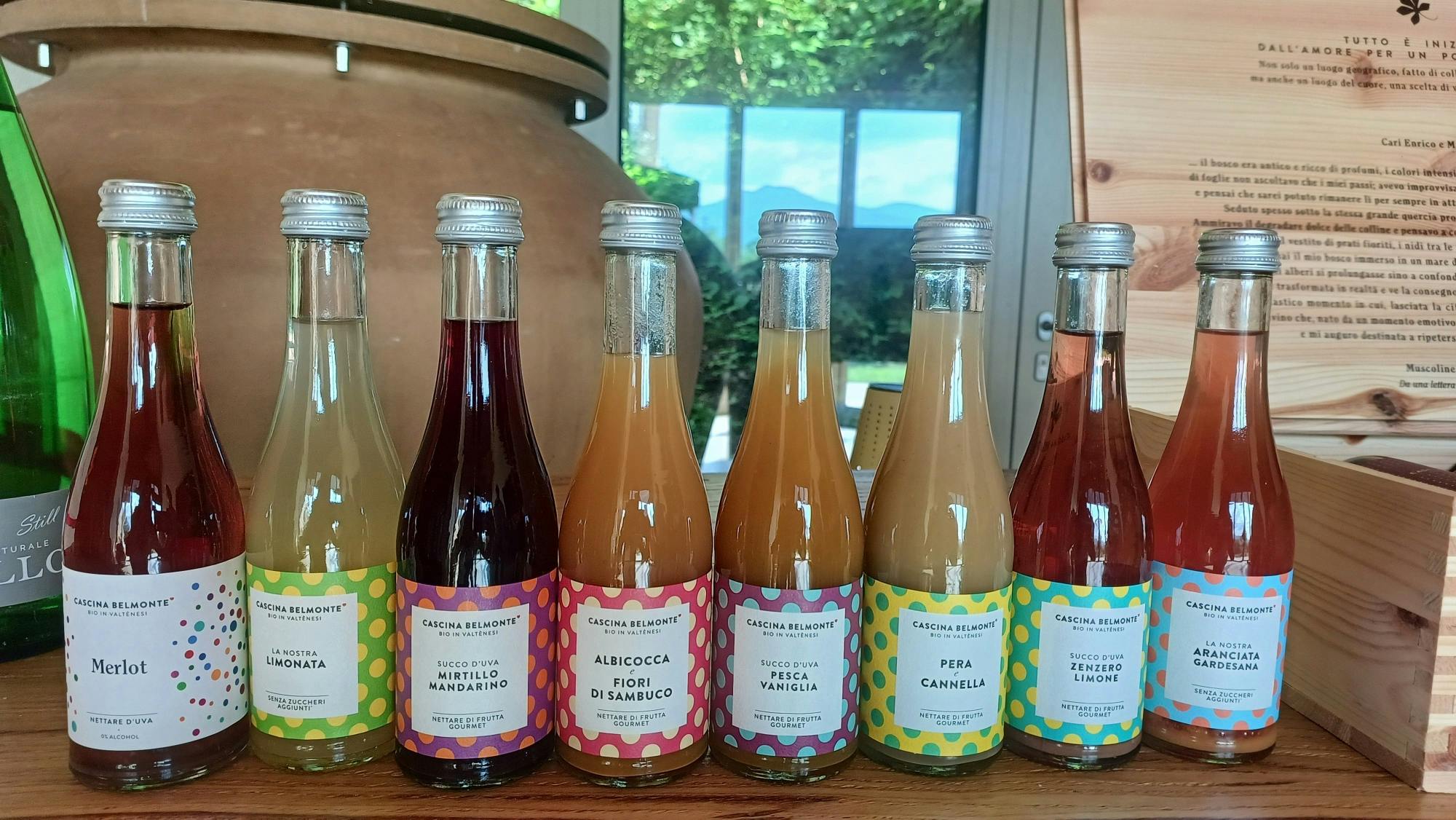 Lake Garda olive oil mill and winery tour with Salo visit