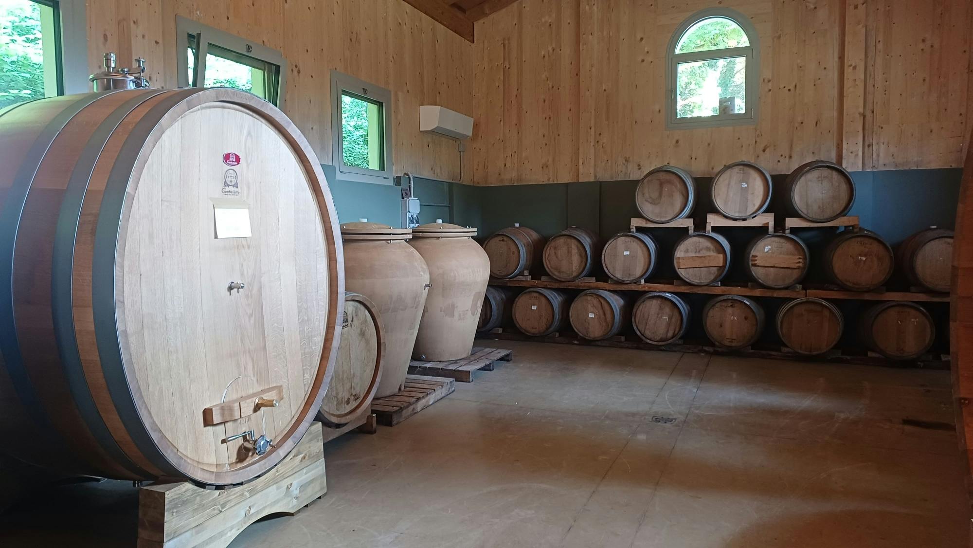 Lake Garda olive oil mill and winery tour with Salo visit