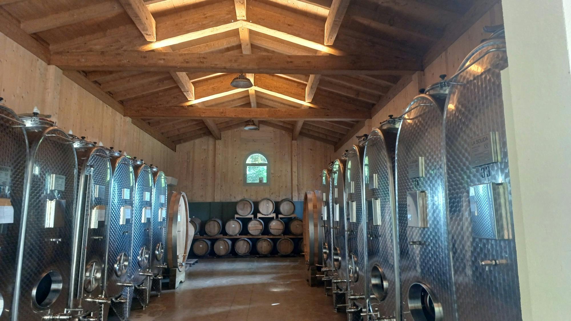 Lake Garda olive oil mill and winery tour with Salo visit