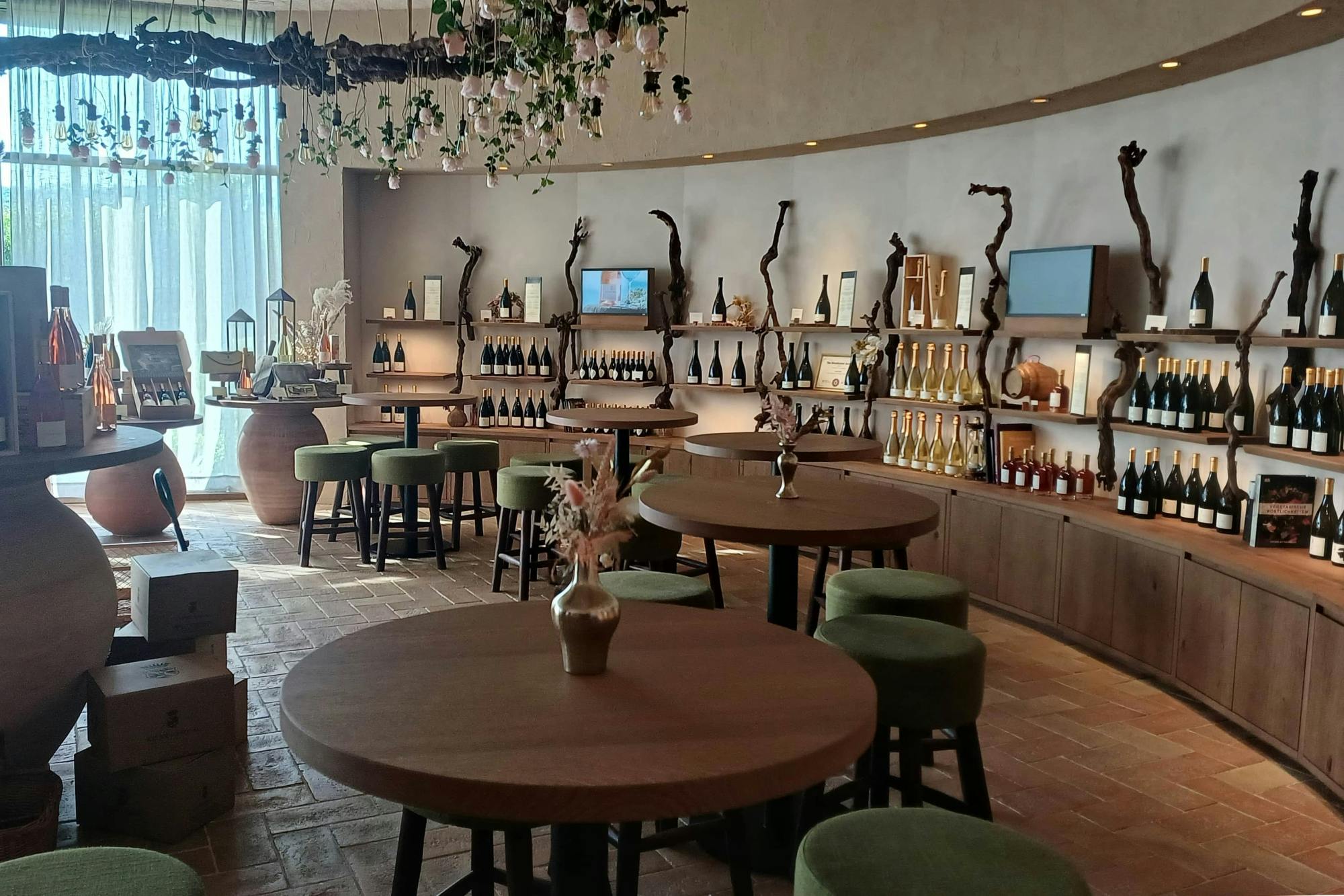 Lake Garda olive oil mill and winery tour with Salo visit