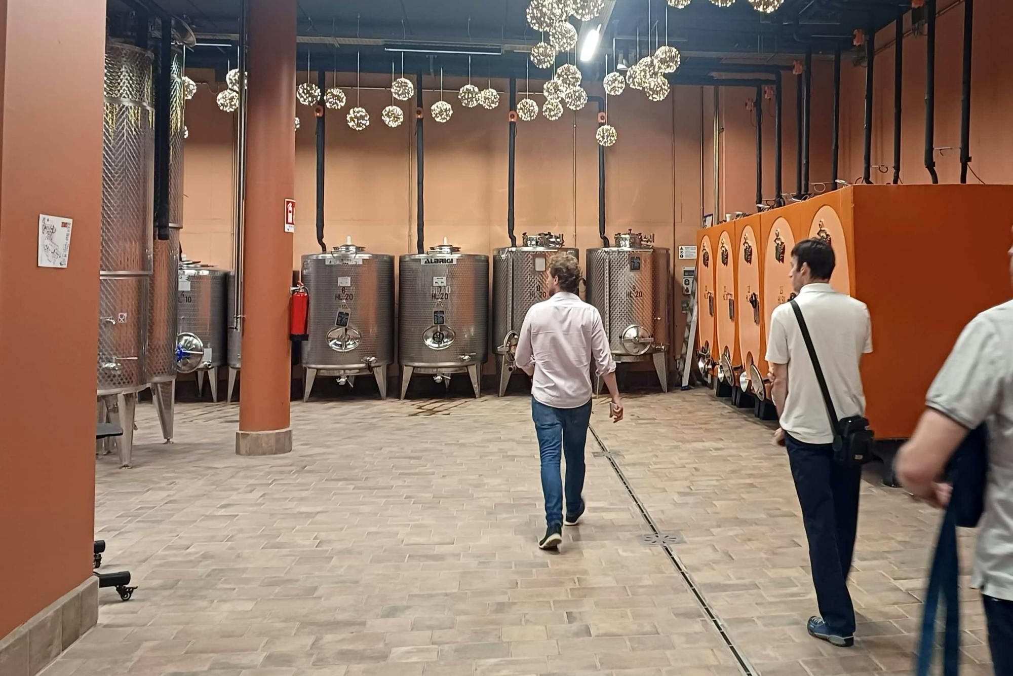 Lake Garda olive oil mill and winery tour with Salo visit