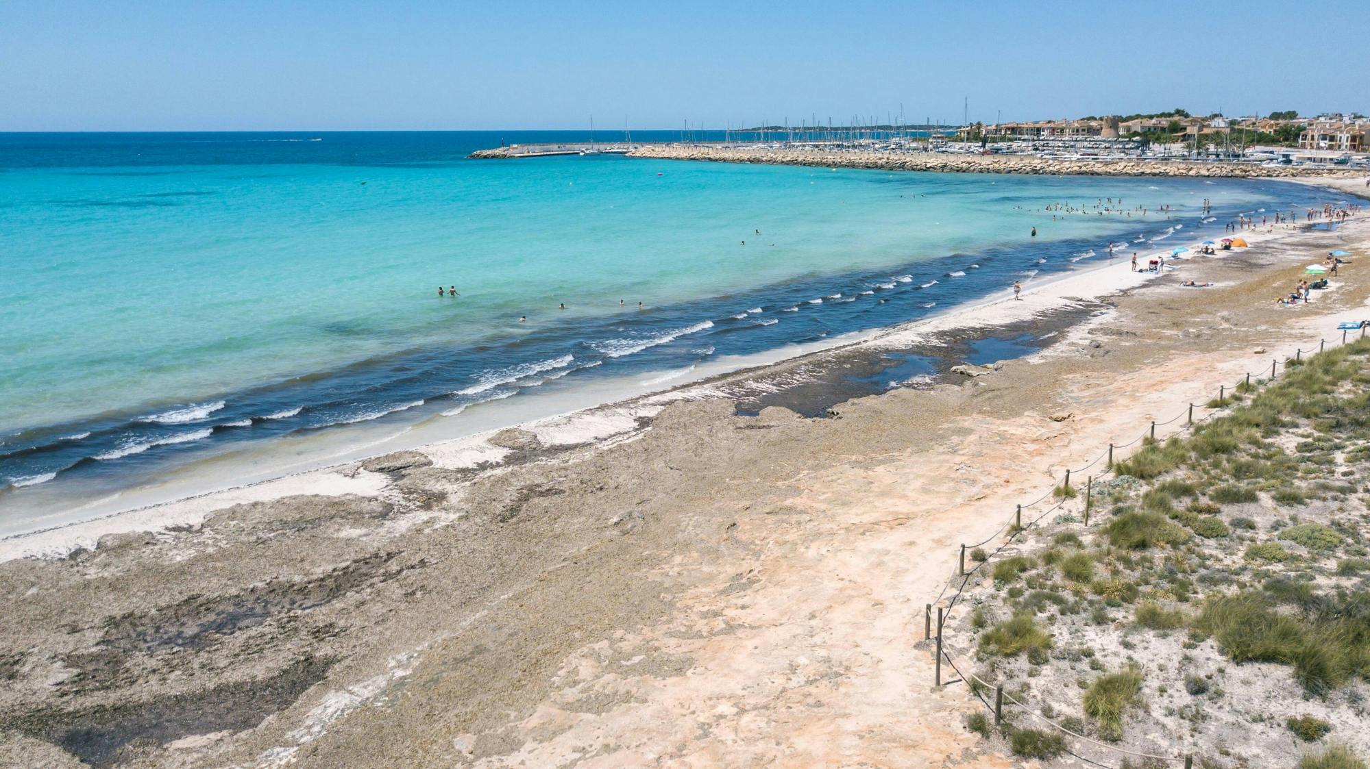 Santanyi Market and pamboli by the sea tour