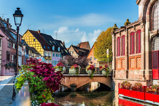 60 minutes walking tour in Colmar with a Local