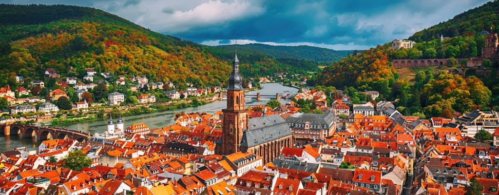 Discover Heidelberg in 1 hour with a local