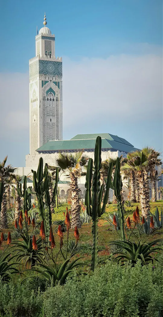 Casablanca Full-Day Trip from Marrakech