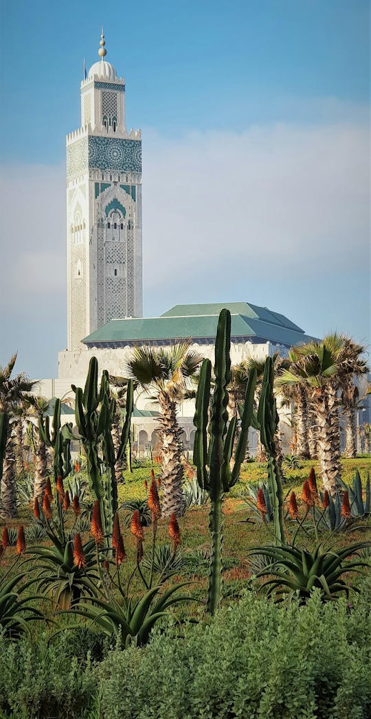 Casablanca Full-Day Trip from Marrakech