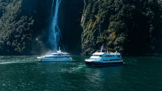 Milford Sound cruise experience
