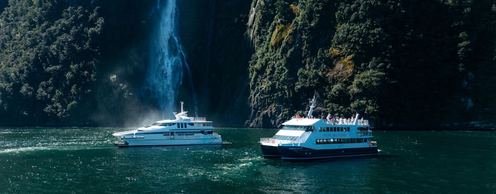 Milford Sound cruise experience