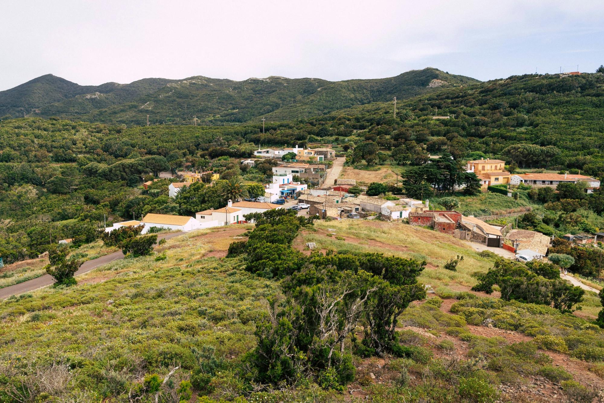 Nat Geo Day Tour: Teno Alto, Tenerife's Last Shepherd Stronghold