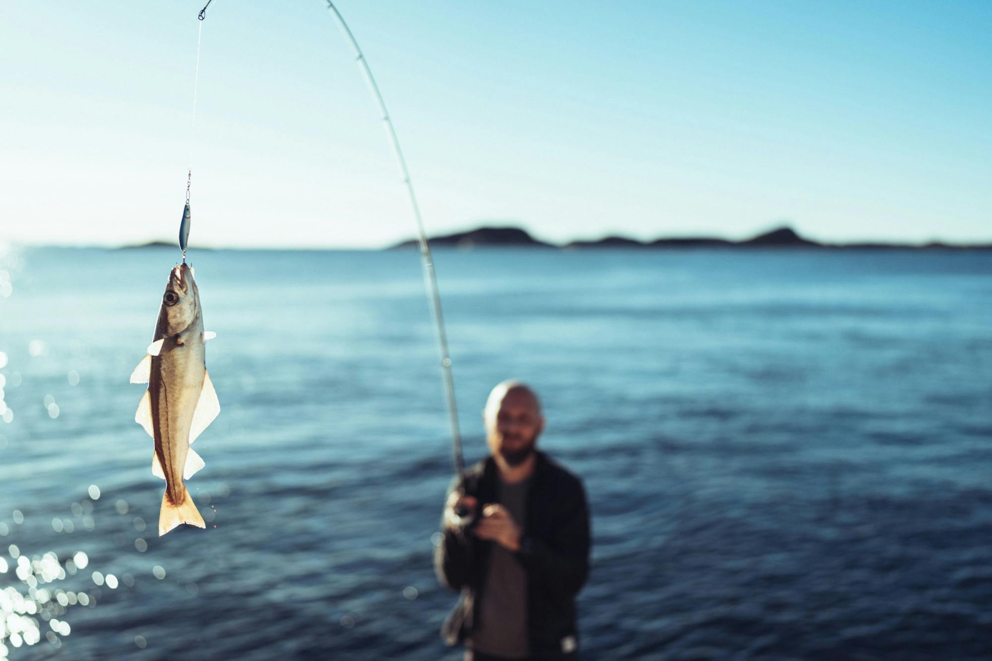 Full-day fishing tour in Skiathos with lunch