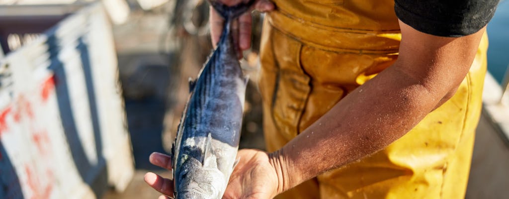 Full-day fishing tour in Skiathos with lunch